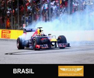 Puzzle Σεμπάστιαν Φέτελ πανηγυρίζει τη νίκη του στο Grand Prix της Βραζιλίας 2013
